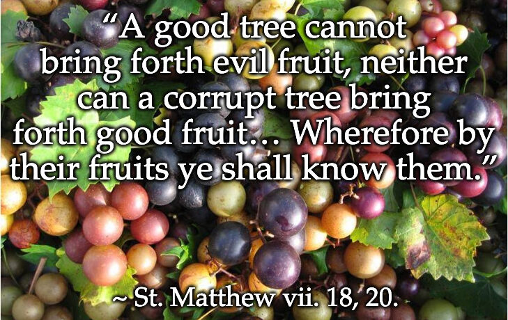 The Eighth Sunday after Trinity